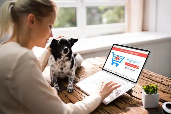 Frau vergleicht am Computer Tierversicherungen mit Hund auf Tisch