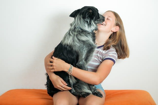 Hundespeichel: gesund oder gefährlich für den Menschen?