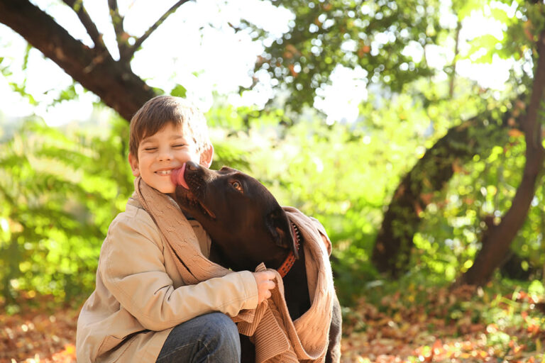 Warum leckt mein Hund mich ab? Bedeutung & Tipps