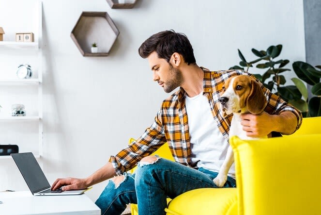 Lockdown mit Hund: Praktische Tipps