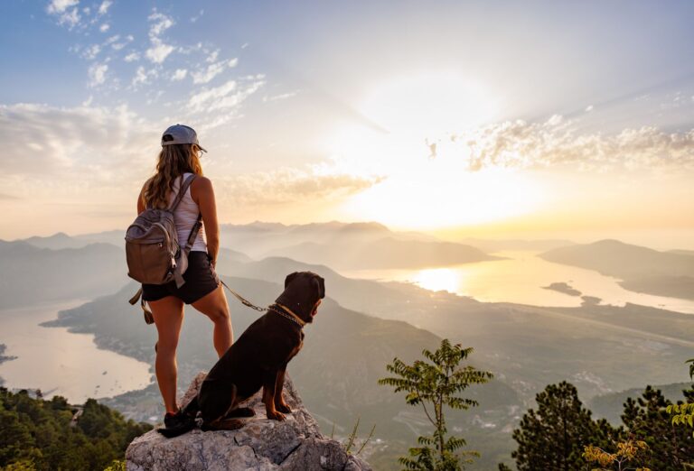 Wandern mit Hund: Unsere Tipps