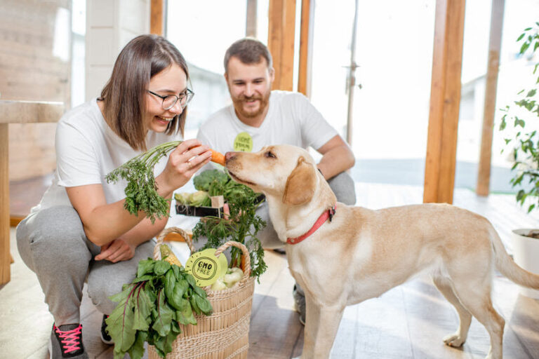 Veganes Hundefutter: Wie empfehlenswert ist es?