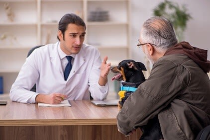Wie reagieren Hundehalter in Notfallsituationen?