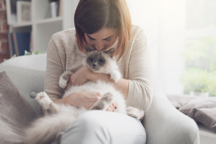 Katzenallergie Behandlung: was wirklich Symptome lindert