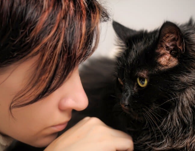 Hautkrankheiten der Katze: auf die Ursache kommt es an