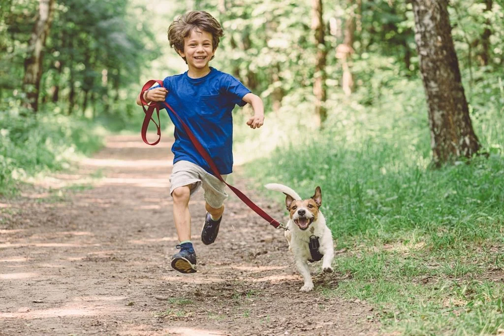Spazierg&auml;nge mit Spa&szlig; und einem sicheren Gef&uuml;hl&copy;Shutterstock
