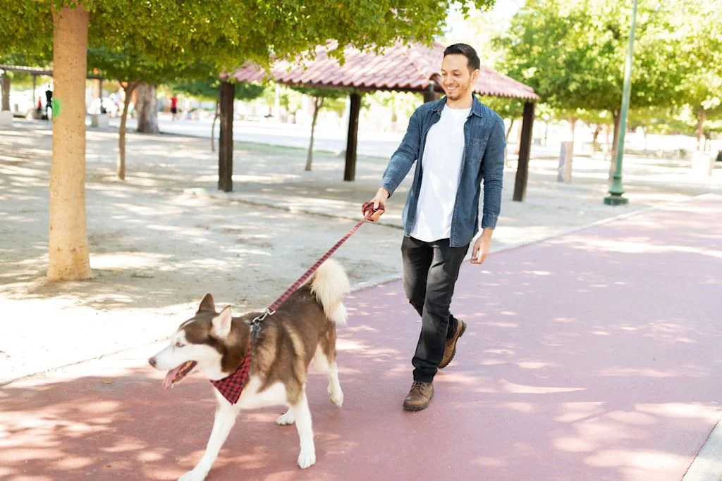 Hundehalter und Hund sind ein harmonisches Team©Shutterstock