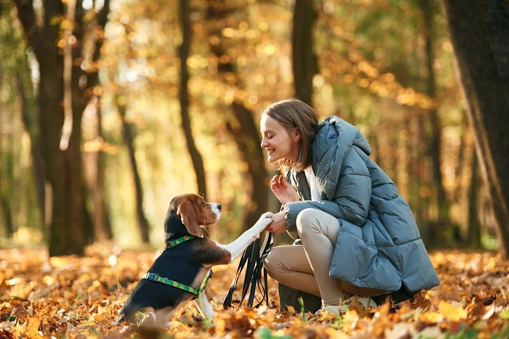 Vertrauter Umgang zwischen Hund und Mensch – Hand in Pfote©Shutterstock