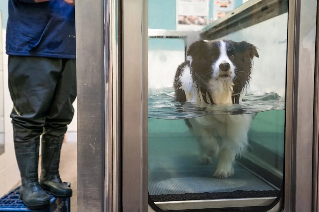 Hydrotherapie zur St&auml;rkung der Muskulatur