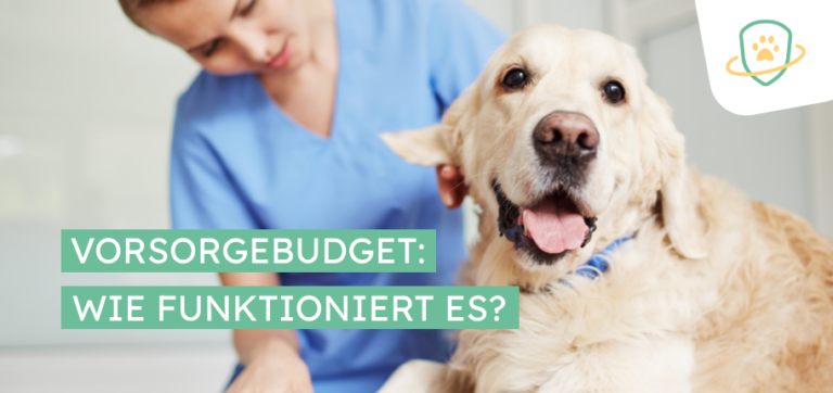 Alles über mein Vorsorgebudget verstehen