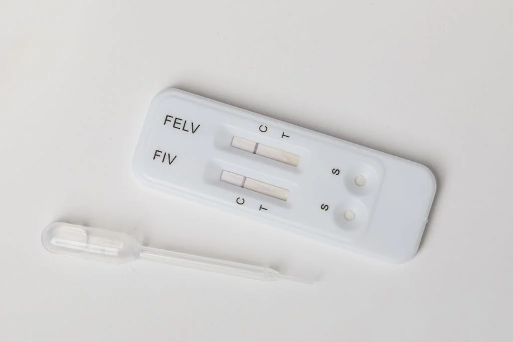 Es gibt Impfungen gegen FiV und FelV