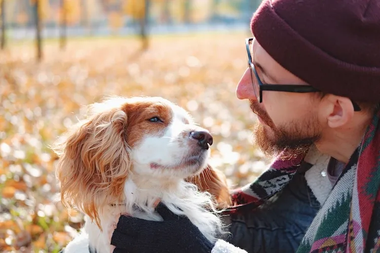 Was ist Hundeschnupfen: Kann ein Hund erkältet sein?
