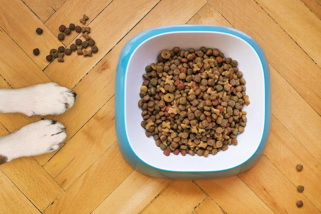 croquettes chien parquet &