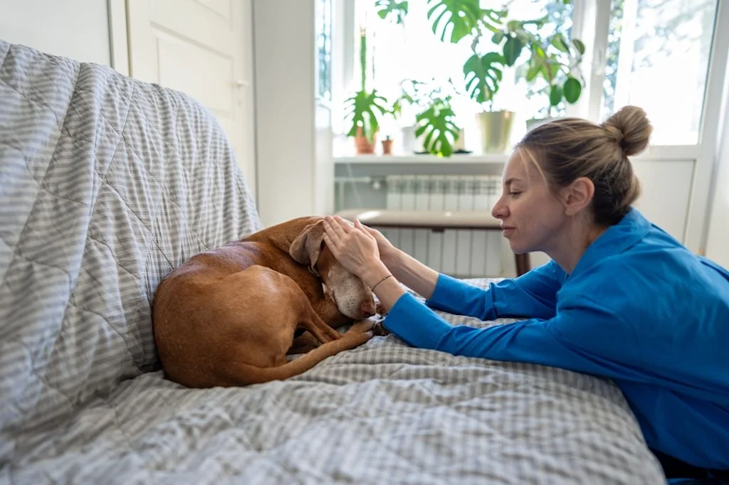 Ältere Tiere haben ein erhöhtes Risiko